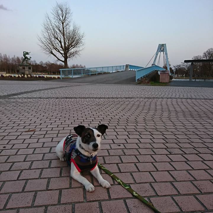 6fe4d1cb f38a 4ce2 a229 20df0cf91a83 1521276551274