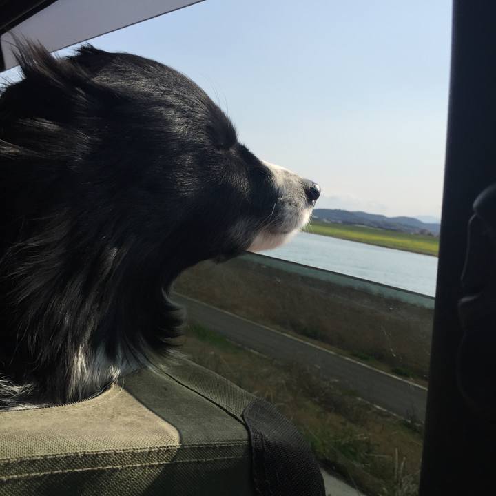 6fe4f822 6285 4387 ad9e 692587da8b58 1521871854101