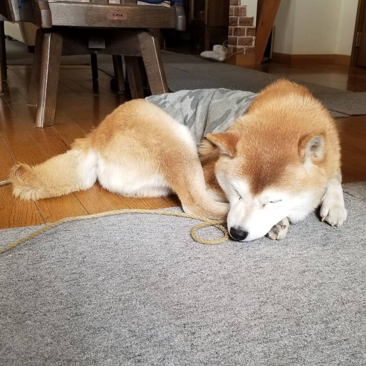 6fe55742 78e1 40b3 a617 e8e4aa39559b 1646523500111