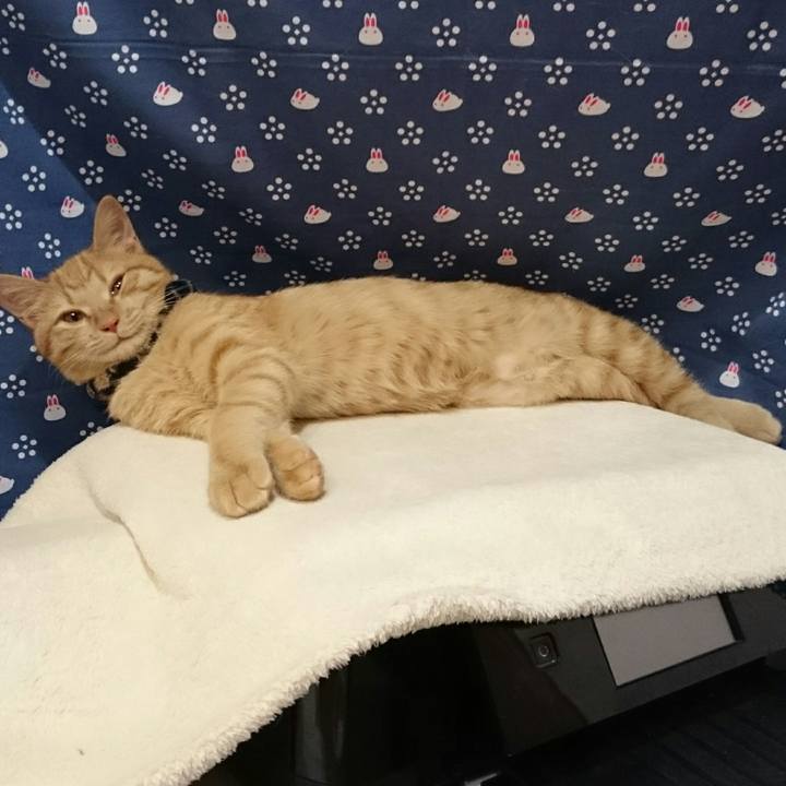 6fe55c72 c5c1 4bdc bf4d 92edb1242d4d 1544976312094