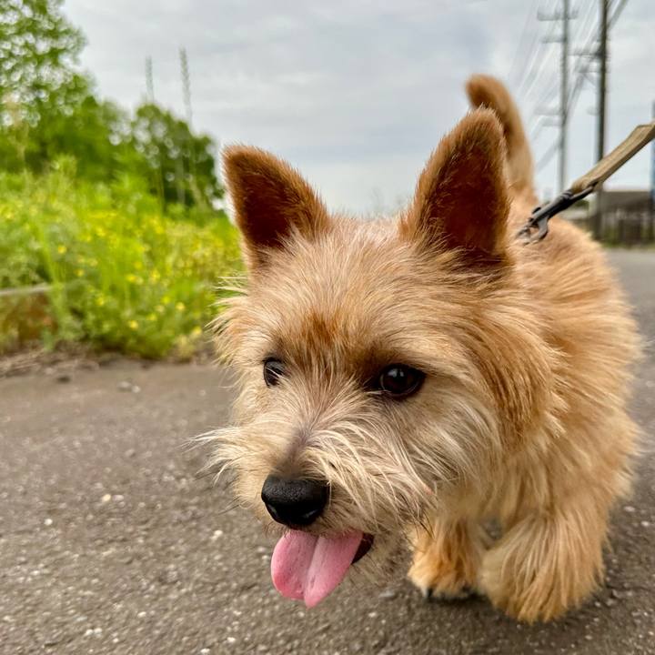 6fe57910 ee92 4f96 b35b a4f1acbffea1 1714228621436