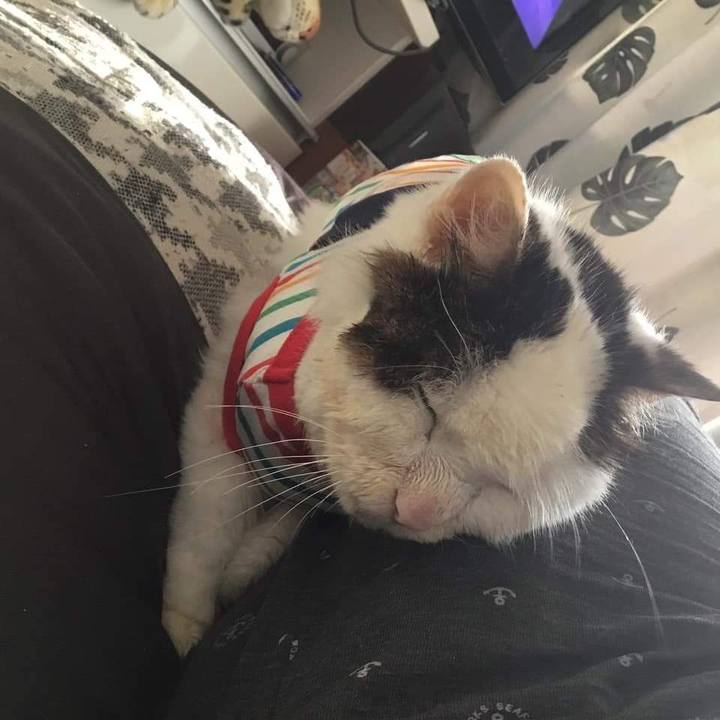 6fe57a40 6cb1 4a98 800a d8423ccdffd8 1629161844125