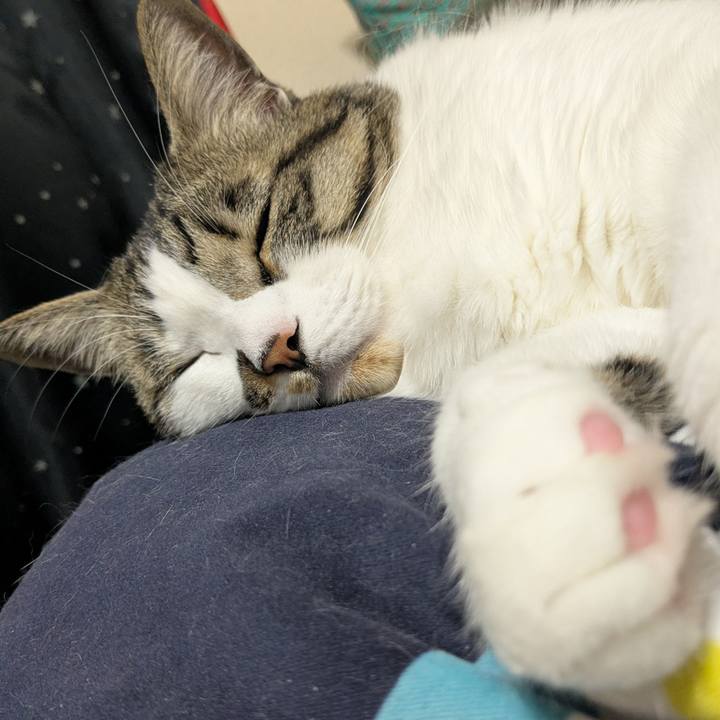 6fe59d59 886f 409a 9fa3 b87f4692161d 1742390897377