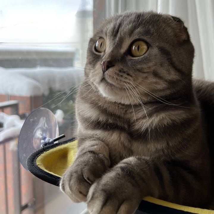 6fe5e7cc 1009 41b8 958e aefe66a9d57c 1639796582347