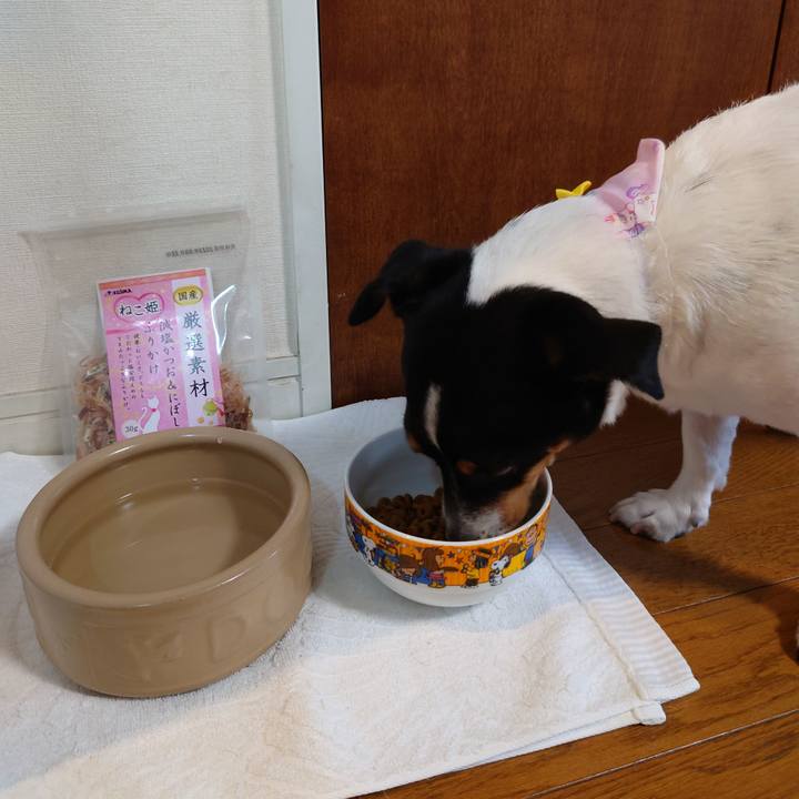 6fe5e809 fc14 4bcc b1c2 b81c0784e606 1658666982850