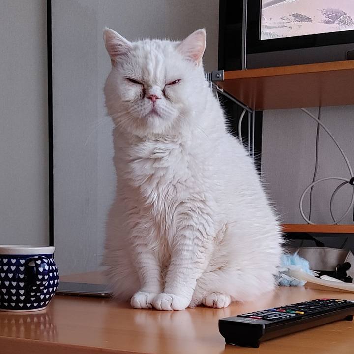 6fe601df 34d3 4fa6 bf9d 7a83b30dfc33 1721984474506