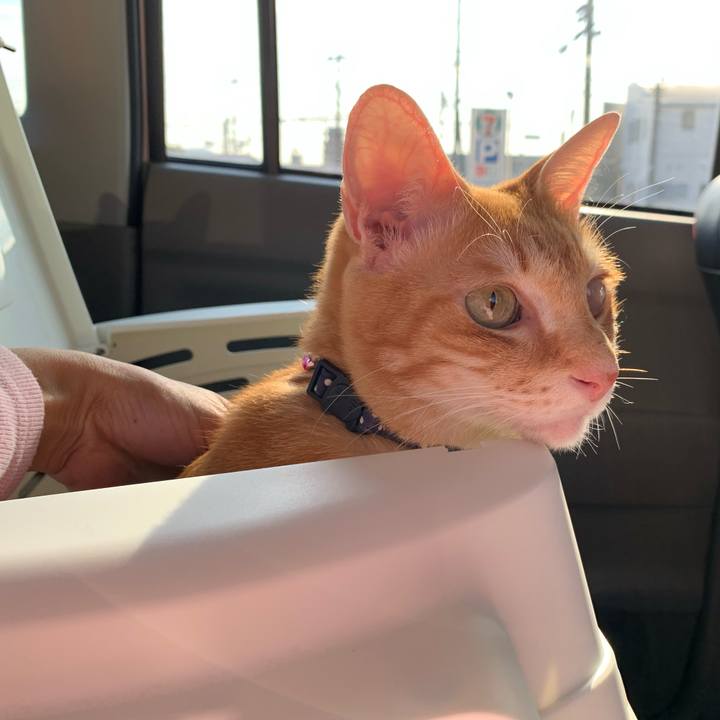 6fe612eb 6fc0 4371 aefe ef32f967aa43 1606363598055