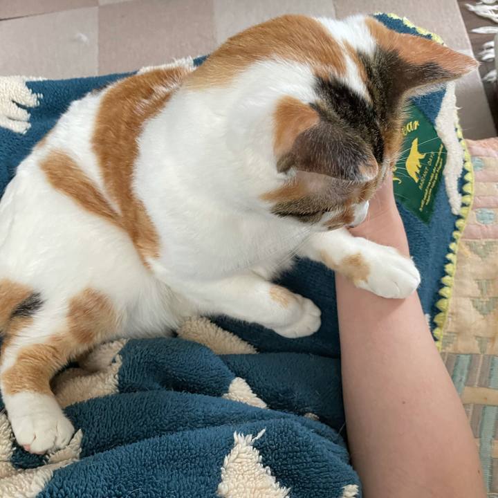 6fe622d0 8b07 494b 8e96 d40900863efa 1620948749925