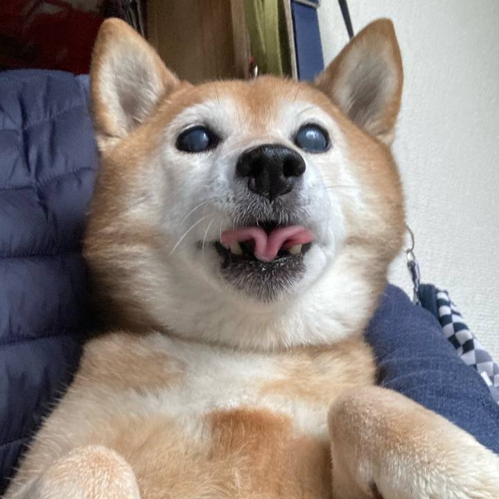 6fe62d8f 8c3f 4bf6 a78b 00dd9935e60f 1709681505195