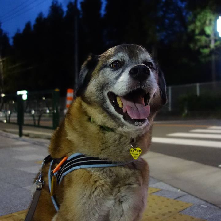 6fe63fce c66a 4238 9a64 eba7b04721f7 1562417826282