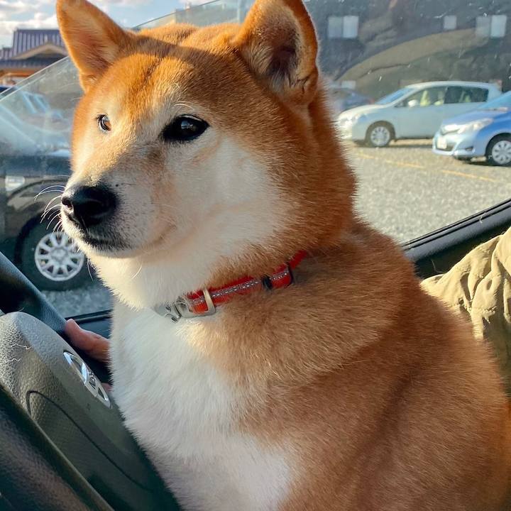 6fe6a21f 0779 4ba7 8b9c 9fd657b0c829 1643372614687