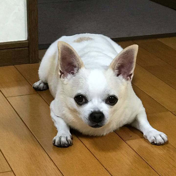 6fe6ddc9 4c17 4815 a704 a80fb2e98503 1539257914208