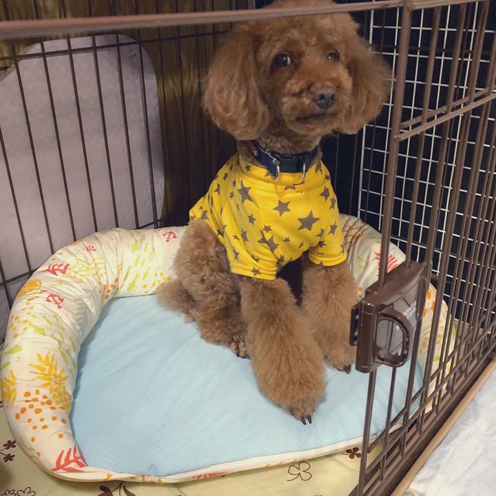 6fe6edb0 69ba 4e5b 9055 e639af80d0bf 1563181703077