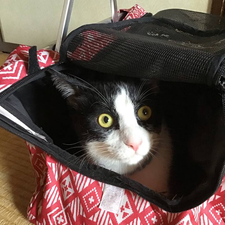 6fe6f7e2 9a53 4a16 a4f5 073ddd148f08 1660451767165