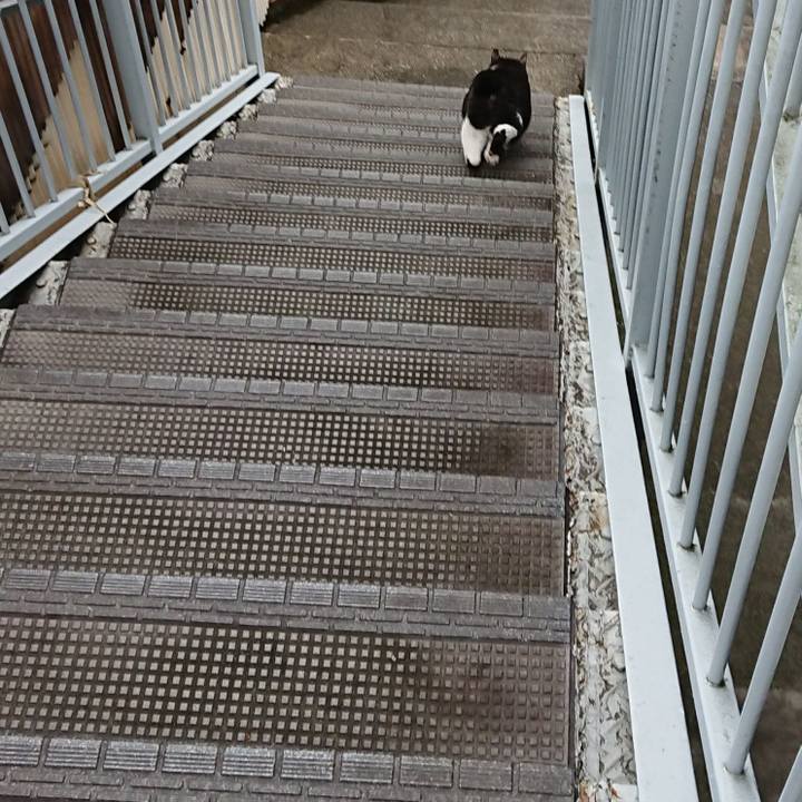 6fe72c80 a88e 440e 99d7 75fcd317a0c9 1629610935919