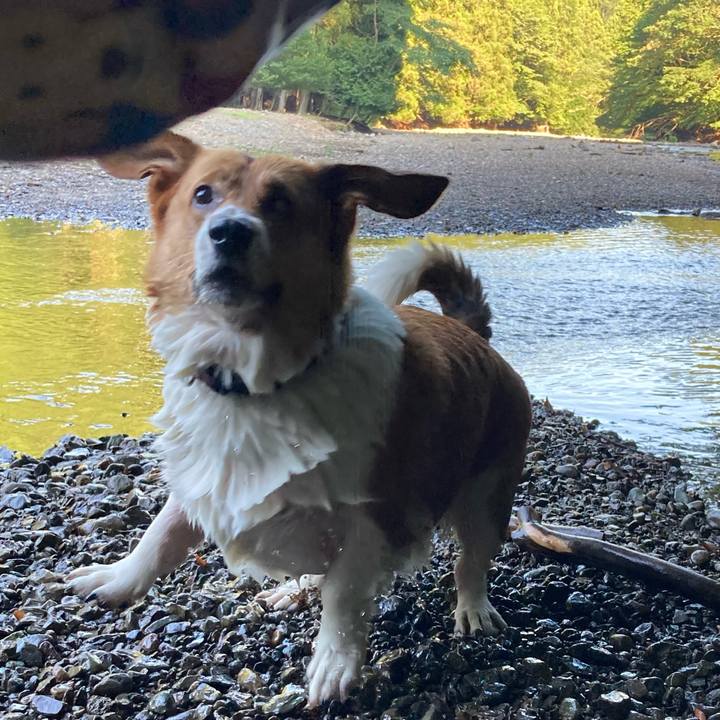 6fe75e56 8f69 4187 95d2 20a11b9562f0 1722821505491