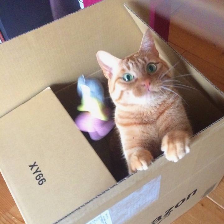 6fe762fb ab49 496d 9875 69ccc1750e00 1517125514101