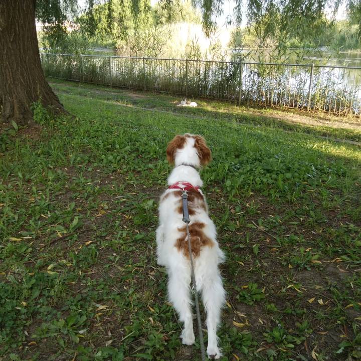 6fe79755 a720 4d0f bdfc 4224b50c2f18 1530448808642