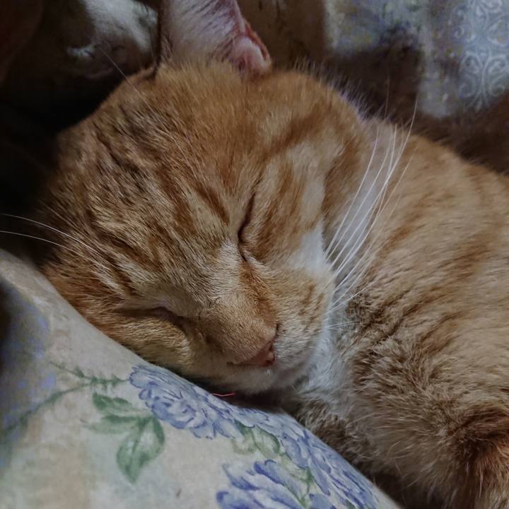 6fe79b53 4bfa 448e ad08 def739b9887b 1575895862372