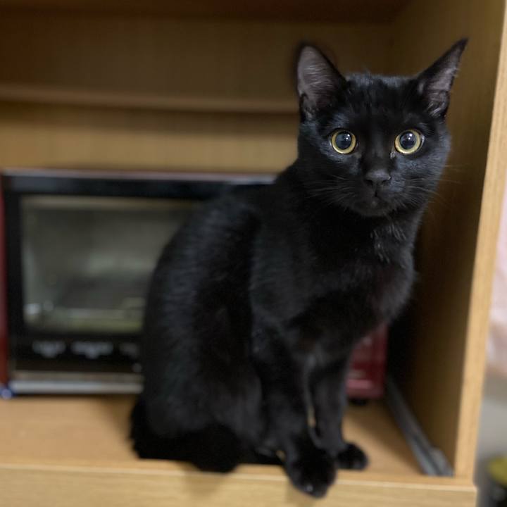 6fe7aa57 d17c 496d 8e86 0dbf7d389665 1616239922478