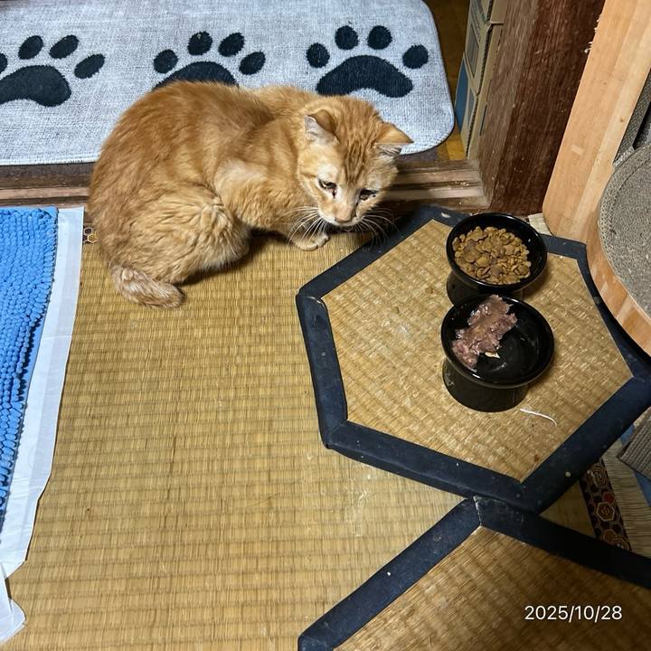 6fe7b47c 2101 4d2d aa67 22746feb1ae2 1761603260037