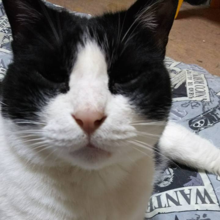 6fe7c571 a89b 4418 94e9 26f40116d473 1530654157046