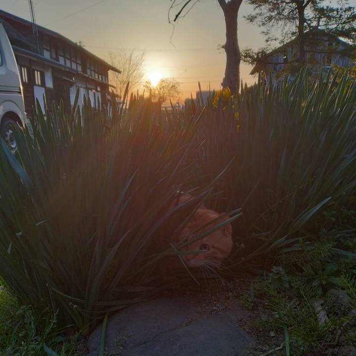 6fe7dc00 04f3 4681 9d80 0d10dca40981 1682370009990