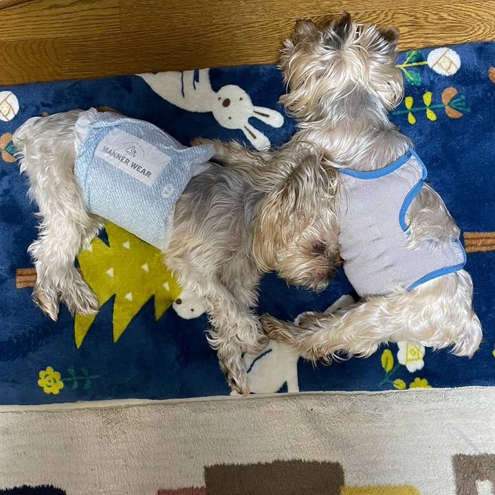 6fe7e5d4 c6f3 4251 a70b 0ea2135e11c7 1704704720570