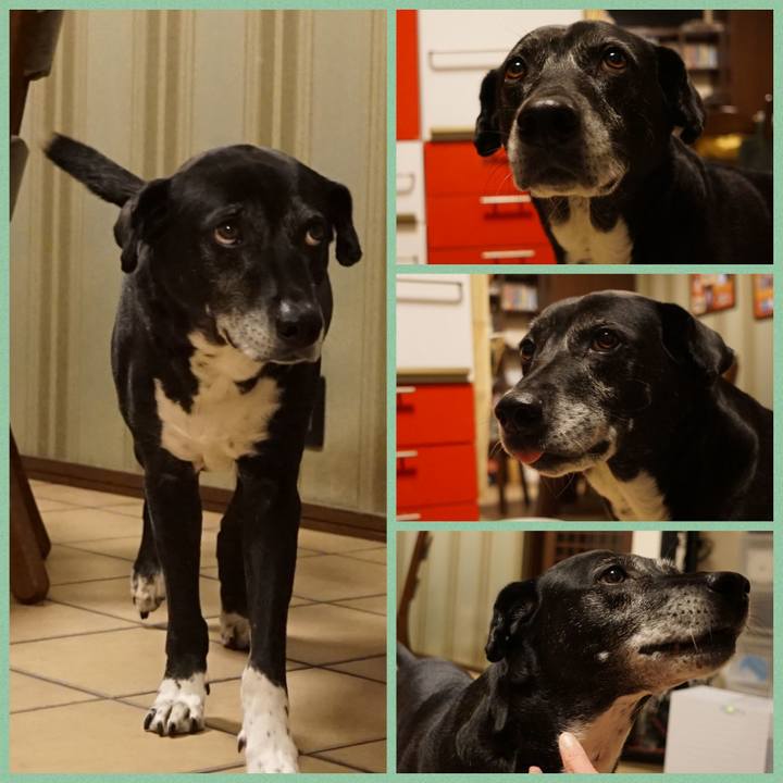 6fe7e888 452a 4d53 bfd4 31d1b2db0877 1771758488464