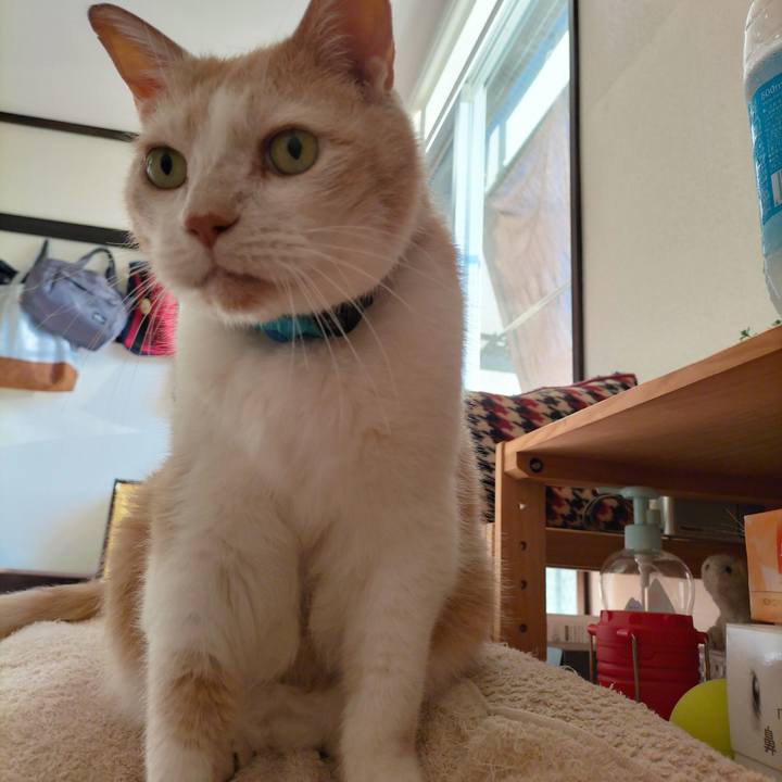 6fe7ebb8 f734 4109 9a46 af6446659b96 1665702453846