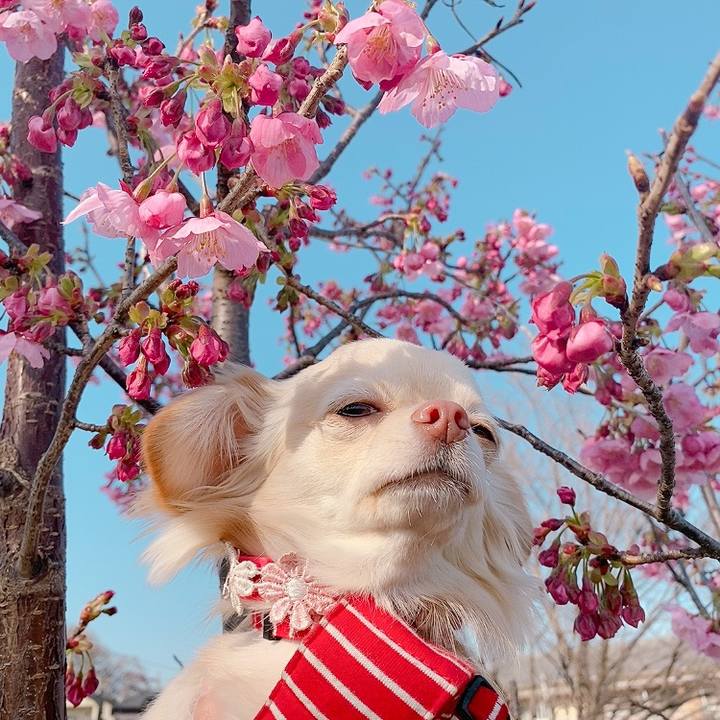 6fe80ee8 ed35 4085 9cc3 313955041744 1616057552449