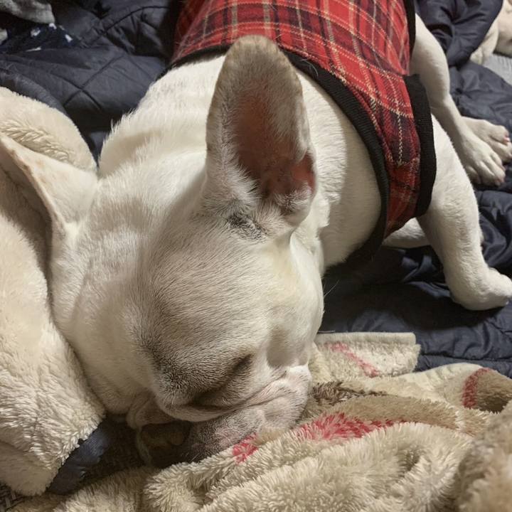 6fe8772a 8c48 4d68 9ab7 0ab99caa52fe 1675551981093