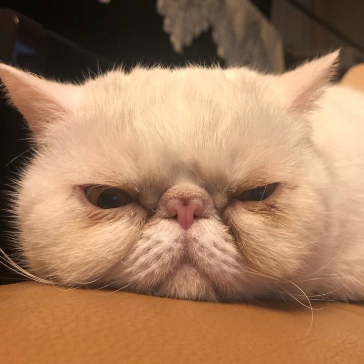 6fe882ef 9621 4712 95f3 1444761d045c 1642584891639