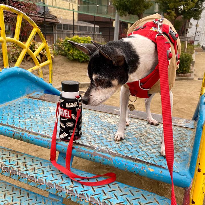 6fe8ac67 54ec 4c9c 9a57 b8f17c78b537 1610757717758