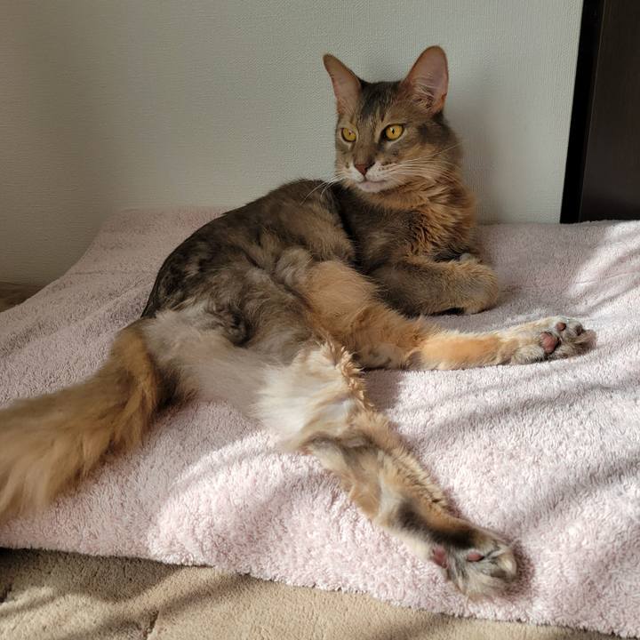 6fe8d7cb 1543 4c8d a538 2865dcfc4726 1635903764993