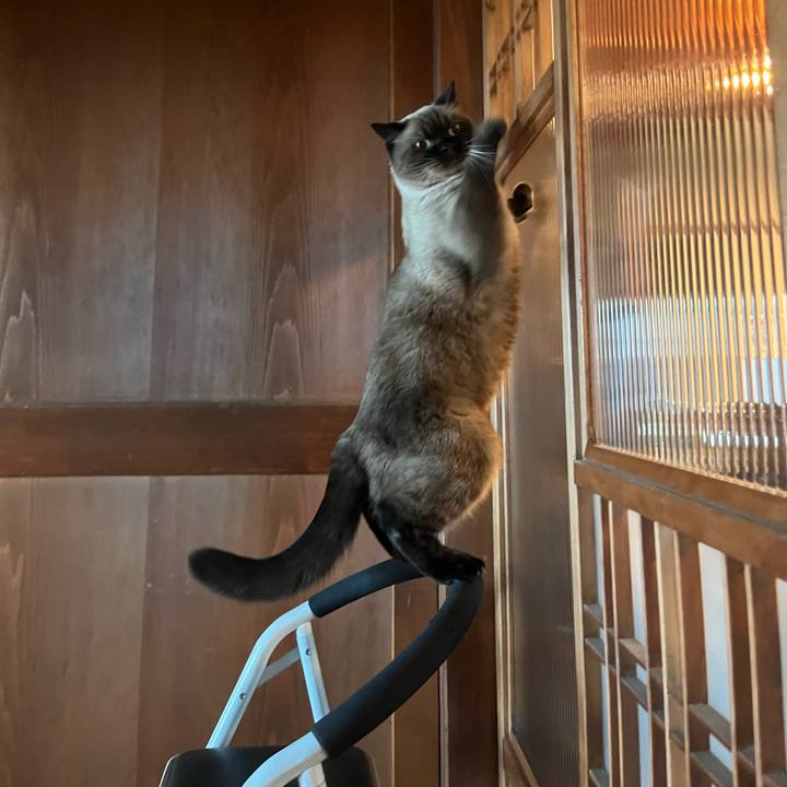 6fe95abb 7493 4724 a942 5acd534ae352 1697932890994