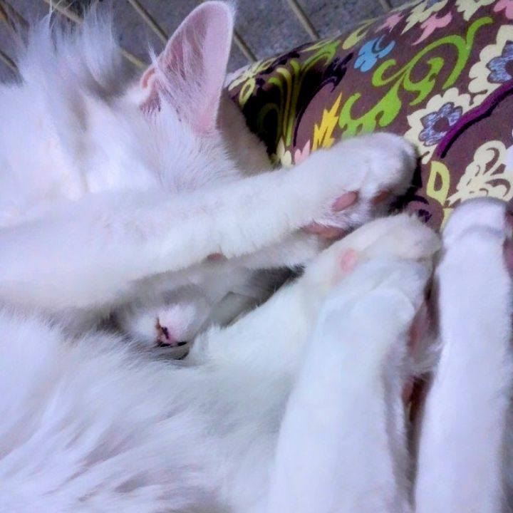 6fe96e91 604d 4c82 a48c a46ac1474165 1677358433868