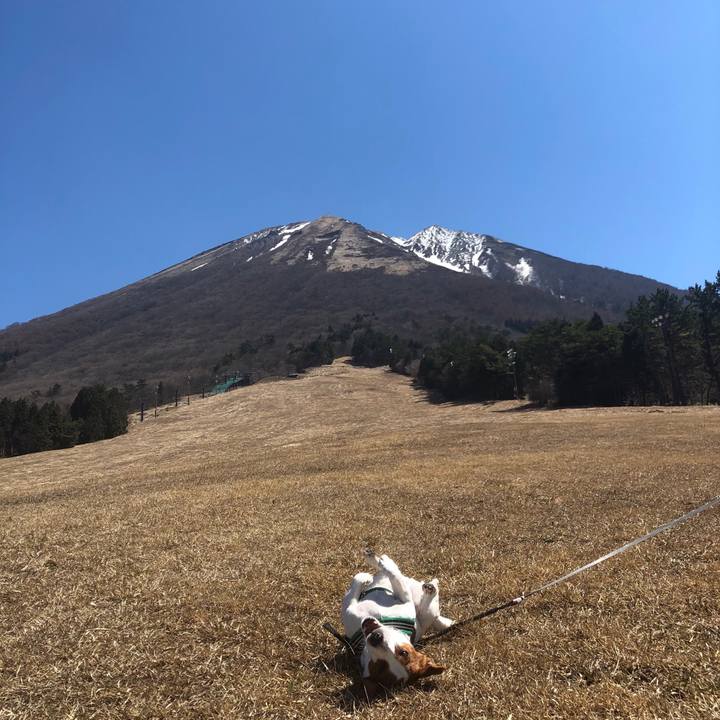 6fe997f0 89ff 42c7 80f1 8a7542a4e4e5 1555204870190