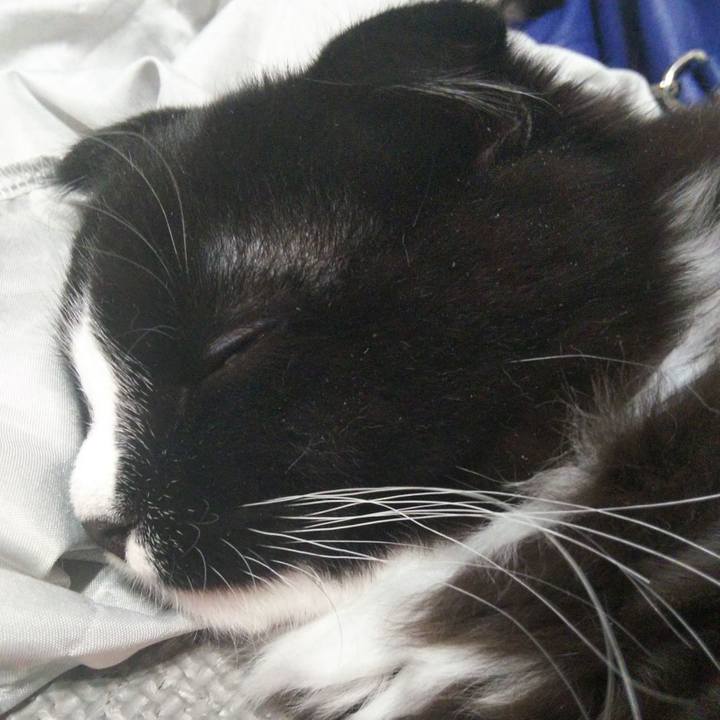 6fe99a79 0da0 4f55 8e1c 19cbb7481245 1645759259284