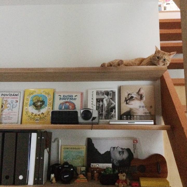 6fe9cf3e 8b04 4476 9f4e f21a766bbfc2 1530232252430