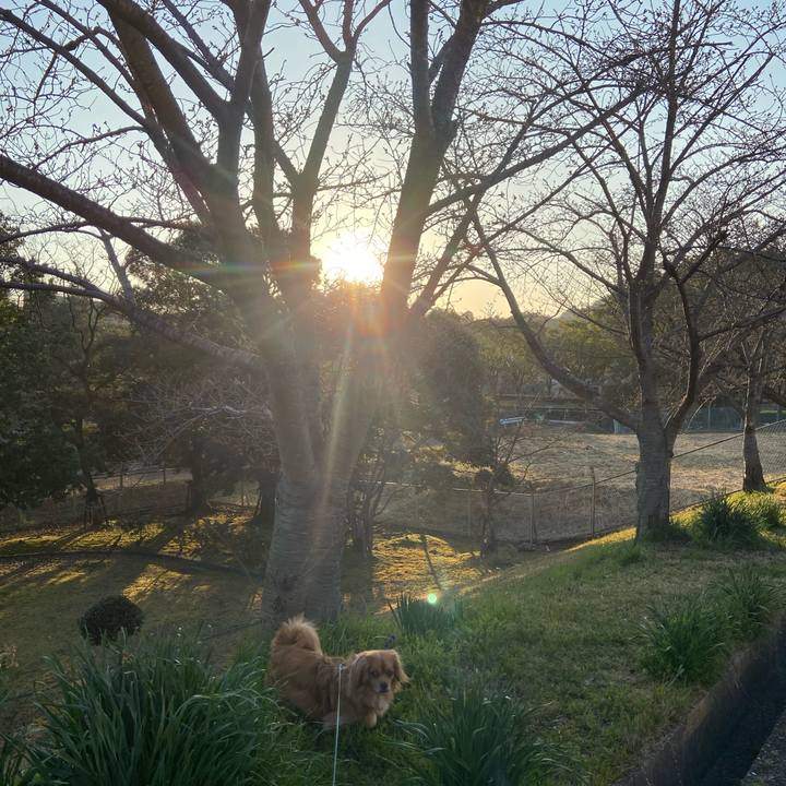 6fea21a0 47af 42d4 9fe2 6a55592d9f5e 1584914795269