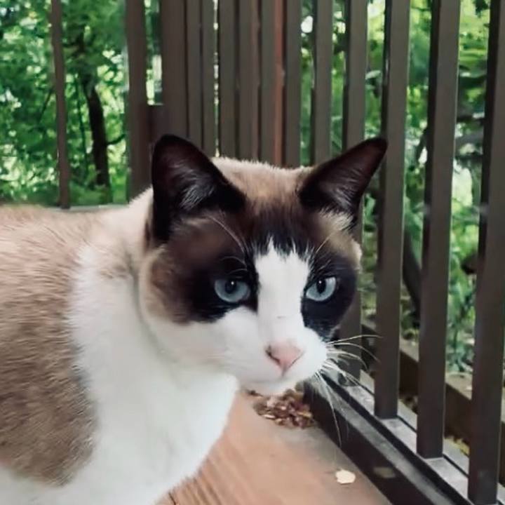 6fea58f7 8129 4c04 8902 a325c525670e 1745376884081