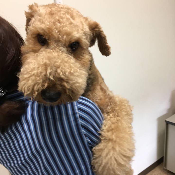 6fea5bb6 eba2 4041 8e7d a502429c9486 1531895084031