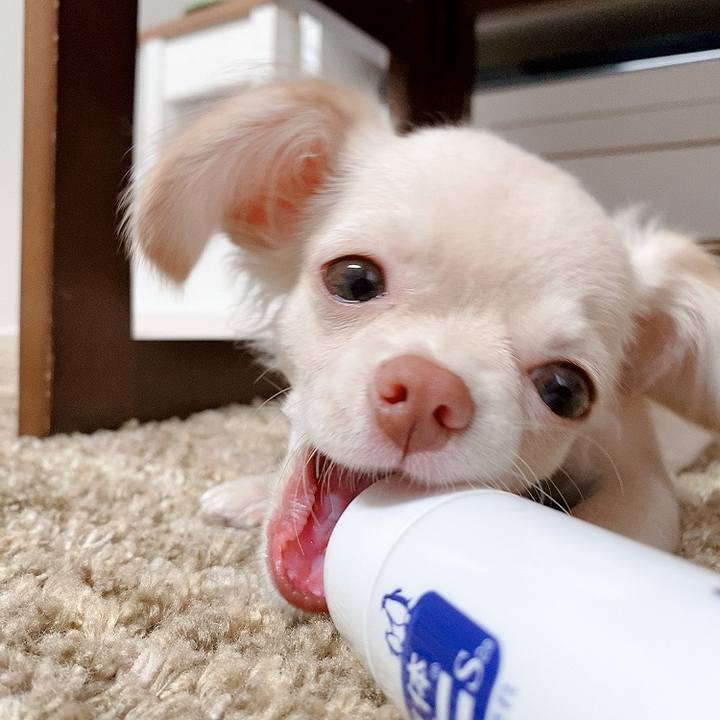 6fea5f7b 507e 438a 8559 a865ac5baaf1 1593394859607