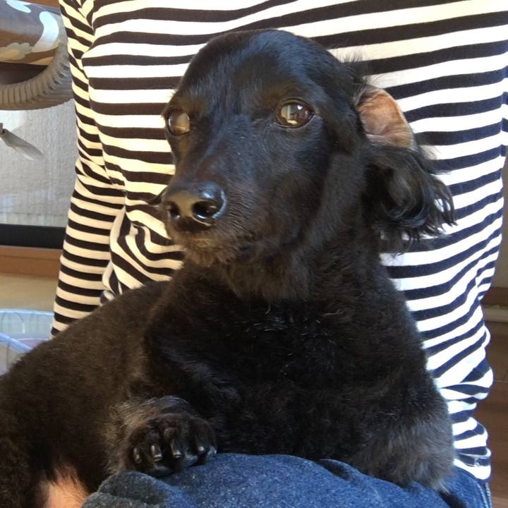 6fea6616 509f 4eca b93c 4d6cb50e84c0 1565997634900