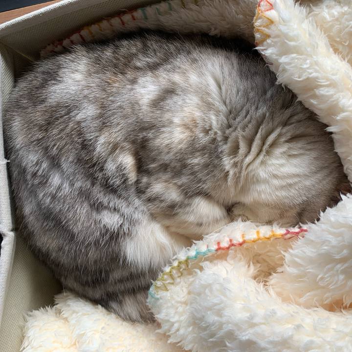 6fea66cb 005e 494f a8cd aca34b902bdb 1709347863137