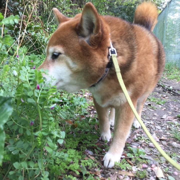 6fea8bb6 2c14 4d0d 92e5 46b3435736f6 1617690038729