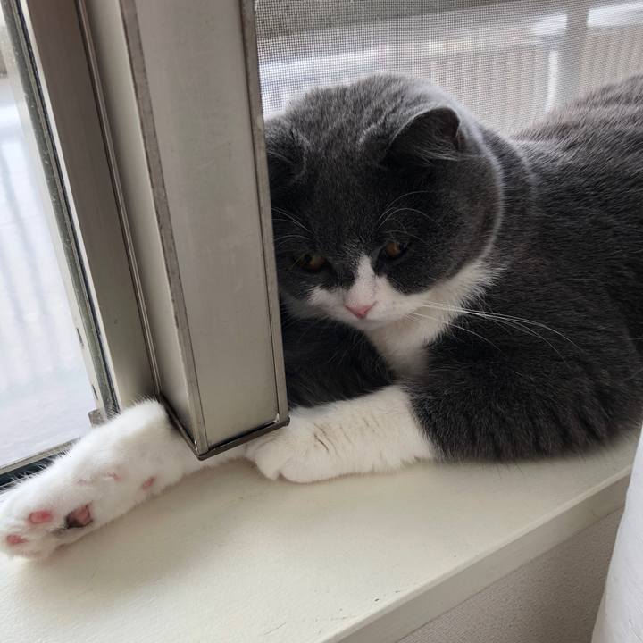 6fea8c60 2822 4fe9 8fc5 82f994df619d 1525306901234