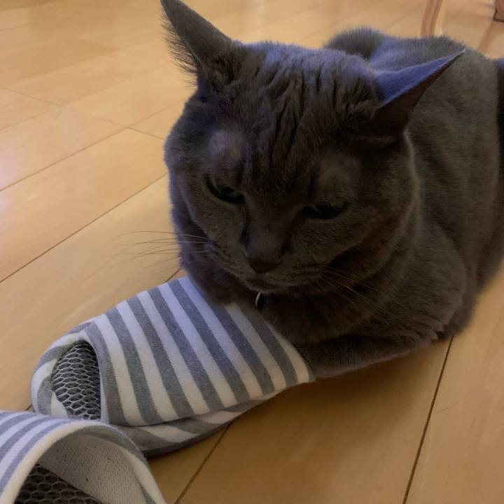 6feb150d 4d59 495f 9fd6 7671e9662e15 1750931174611