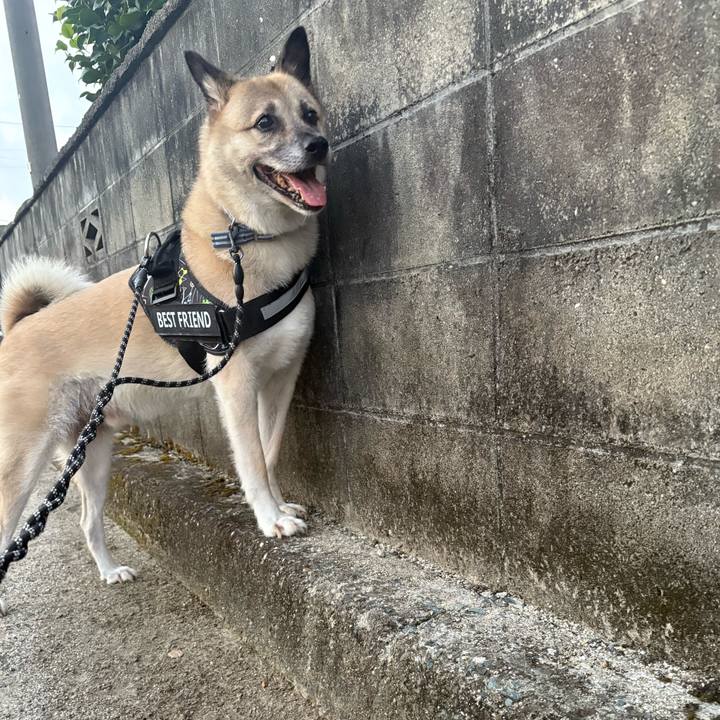 6feb2569 e80d 4beb 9a2a 9b0cf736ff53 1756552245401